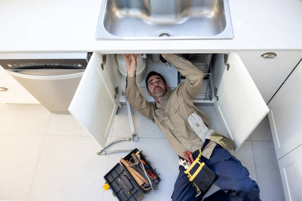 Best Affordable Plumber Near Me  in Leadville North, CO
