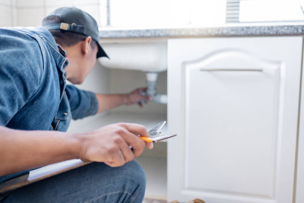 Best Toilet Repair Services  in Leadville North, CO