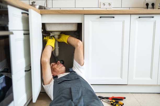 Best Local Plumber Services  in Leadville North, CO
