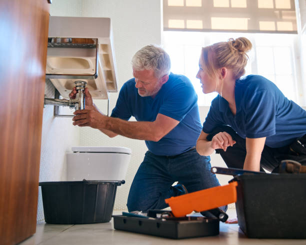 Best Plumbing Inspection Services  in Leadville North, CO